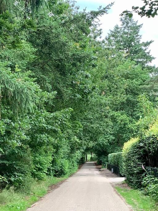 Op Boszicht Genieten Van De Rust & Natuur Putten Buitenkant foto